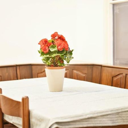 Charming Spacious Apartment Виена Екстериор снимка