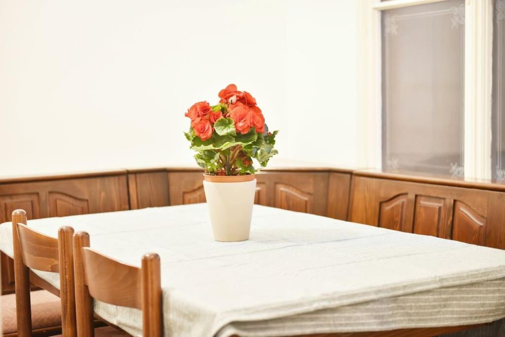 Charming Spacious Apartment Виена Екстериор снимка